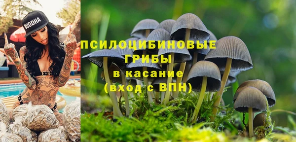 молекула духа Семилуки