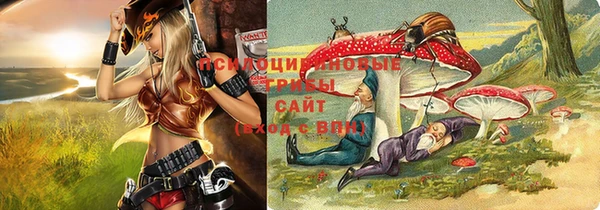молекула духа Белокуриха