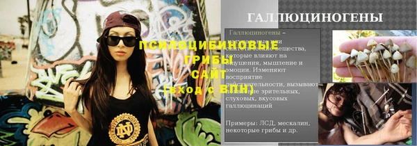 PSILOCYBIN Беломорск