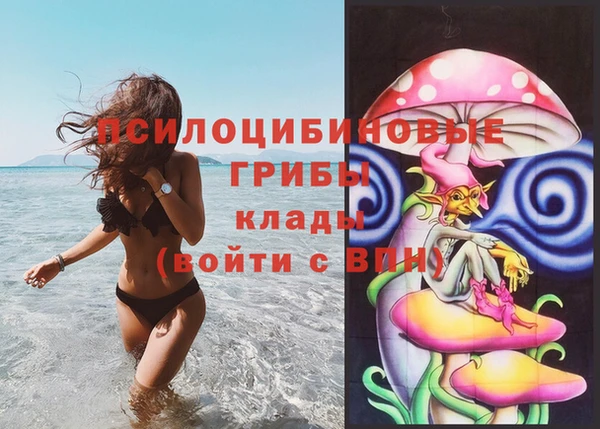 молекула духа Белокуриха